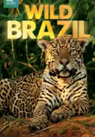 plakat serialu Kierunek Wild: Dzika Brazylia