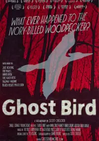 Plakat filmu Ghost Bird