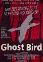 John Fitzpatrick / Ghost Bird