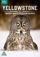 plakat filmu Yellowstone: Wildest Winter to Blazing Summer