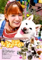 plakat filmu Inubaka