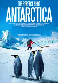 Plakat filmu Idealny kadr: Antarktyda