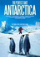 plakat filmuIdealny kadr: Antarktyda