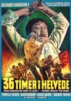 Ferruccio Viotti / 36 ore all'inferno