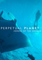 plakat filmu Perpetual Planet: Bohaterowie oceanów