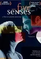 plakat filmu The Five Senses