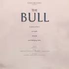 Scott George / The Bull