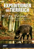 plakat serialu Wilde Heimat