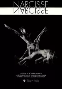 Plakat filmu Narcissus