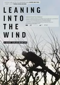 Plakat filmu Leaning Into the Wind: Andy Goldsworthy