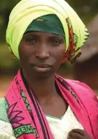 Plakat filmu Small Fortunes: Microcredit and the Future of Poverty