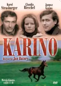Plakat filmu Karino