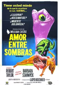 Plakat filmu Nocny wędrowiec