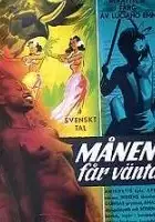 plakat filmu Paradiso terrestre
