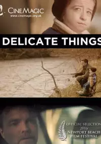 Plakat filmu Delicate Things