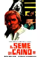 plakat filmu Il seme di Caino