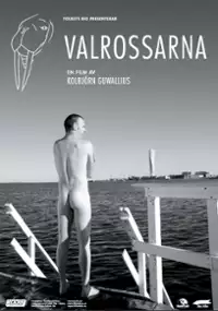 Plakat filmu Valrossarna
