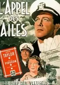 Plakat filmu Flight Command
