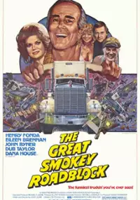 Plakat filmu Kowboj za kółkiem