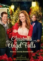 plakat filmu Christmas in Angel Falls