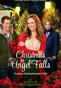 Plakat filmu Christmas in Angel Falls