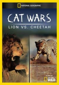 Kocie wojny: Lew kontra gepard