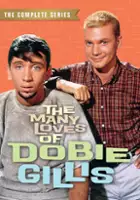 plakat serialu The Many Loves of Dobie Gillis