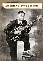 plakat serialu American Roots Music