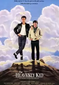 Plakat filmu Facet z nieba