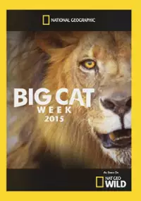 Plakat serialu Big Cat Week