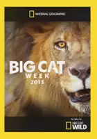 plakat serialu Big Cat Week