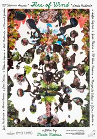 Plakat filmu Fogo do vento