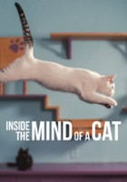 plakat filmu W głowie kota