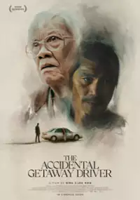 Plakat filmu Kierowca z przypadku