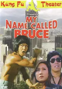 Plakat filmu Pi li long quan