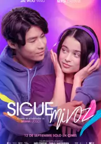 Plakat filmu Sigue mi voz