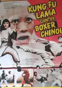 Plakat filmu Nan quan bei tui dou jin hu