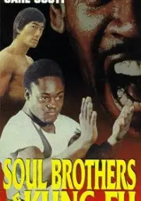 Plakat filmu Soul Brothers of Kung Fu