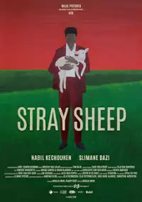 Plakat filmu Stray Sheep