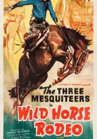 plakat filmu Wild Horse Rodeo