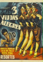 plakat filmu Mis tres viudas alegres