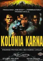 plakat filmuKolonia karna
