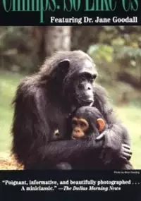Plakat filmu Chimps: So Like Us