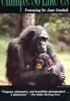 plakat filmu Chimps: So Like Us