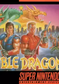 Plakat gry Super Double Dragon