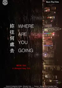 Plakat filmu Where Are You Going