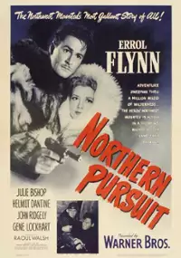 Plakat filmu Akcja na Północy
