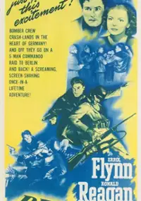 Plakat filmu Desperate Journey