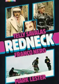 Plakat filmu Senza ragione