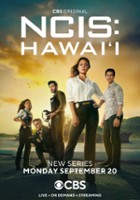 plakat filmu NCIS: Hawai'i